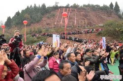 男女拔萝卜：农田丰收季节，志愿者齐心协力助力乡村振兴活动圆满成功