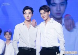 骨科1v2双男主：两位男主角在医院中展开激烈竞争，引发一系列惊心动魄的故事情节