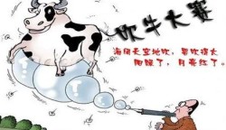 私人航空：带你飞向无与伦比的云端旅行体验，尽享奢华与自由的完美结合