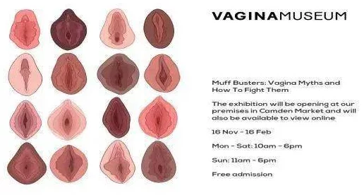 白人阴道bbwbbb大阴道：一场关于身体多样性与美的深刻反思