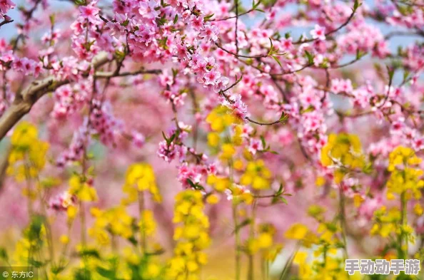 鸣潮游戏挑战：三流画家任务通关全解析与图文实战指南