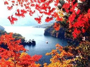 和最讨厌的领导出差住温泉酒店，网红打卡热门词汇必备