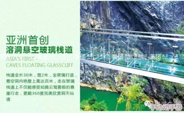 XZL仙踪林company Limited：探索神秘仙境，开启奇幻冒险之旅