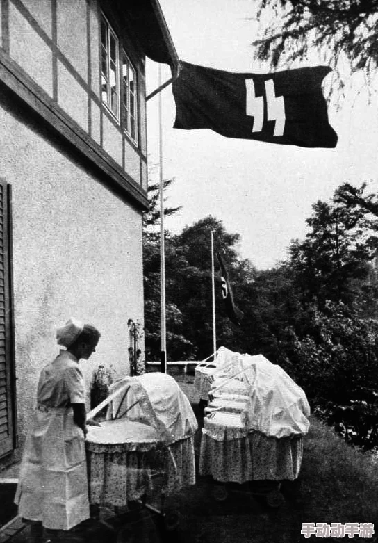 德国8BWHD：纳粹秘密基地探索与历史解读