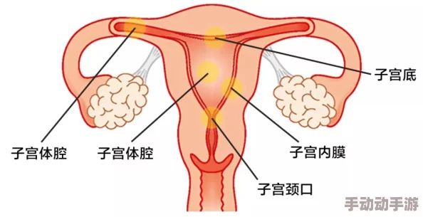 雷电将军的阴道：深度解析其背后的文化象征与角色意义