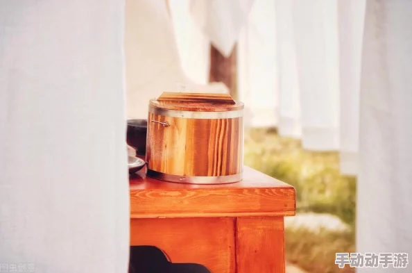 天启行动攻略：绝对干货，详解每一关卡的通关技巧和秘籍