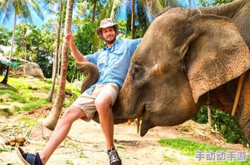 大象一区:感受自然奇观与生态保护的完美结合,领略野生动物的魅力与神秘 大象一区:感受自然奇观与生态保护的完美结合,领略野生动物的魅力与神秘