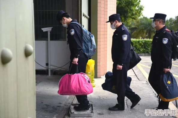 9人轮换：如何在职场中实现高效团队协作与创新突破的最佳实践