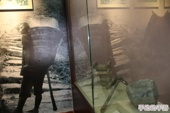 9人轮换：如何在职场中实现高效团队协作与创新突破的最佳实践