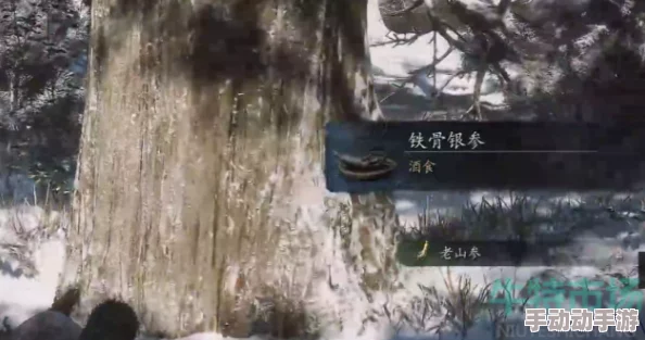 黑神话悟空：详尽攻略解锁铁骨银参获取之道