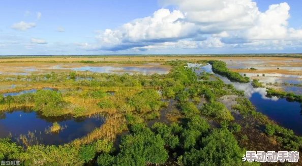 在深耕家庭情感与责任的耕种女儿中，展现亲情与成长的低语与反思