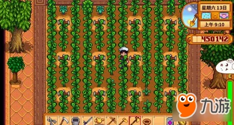 《星露谷物语》中：精选酿酒作物，揭秘哪款最赚人心与金币的酿造秘籍