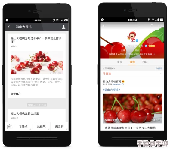 樱桃网——用户评价：优质服务与丰富资源，值得信赖的在线平台让人满意！