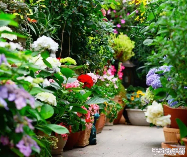 怎么引导老公亲花园,让他理解花草的美丽与养护的重要性,增进彼此的感情和共同爱好 怎么引导老公亲花园,让他理解花草的美丽与养护的重要性,增进彼此的感情和共同爱好