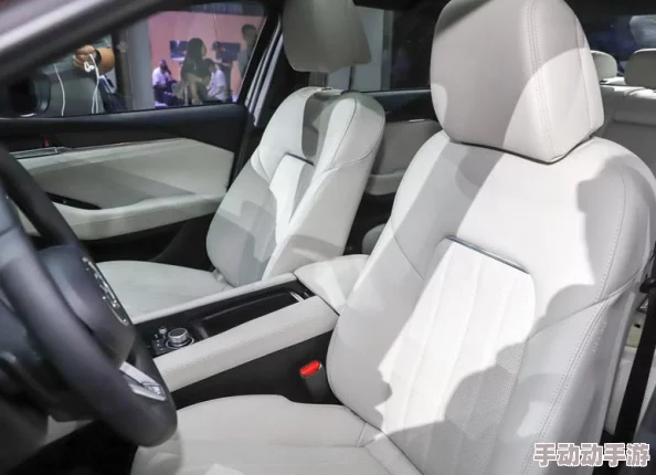 探索与获取:揭秘上等厚实皮革的精选渠道与制作工艺奥秘 探索与获取:揭秘上等厚实皮革的精选渠道与制作工艺奥秘