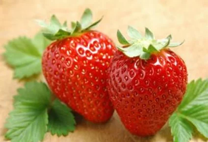 理解黄草莓视频的独特魅力与创作背后的故事,带你走进全新视角 理解黄草莓视频的独特魅力与创作背后的故事,带你走进全新视角