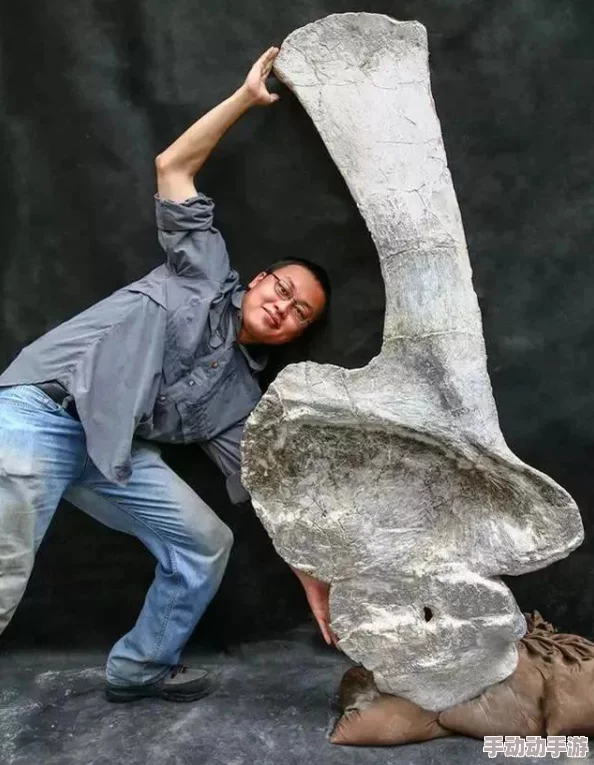 萌趣来袭！《琥珀岛》PC版正式上线，打造你的专属最萌恐龙乐园经营梦