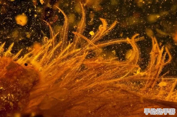 萌趣来袭！《琥珀岛》PC版正式上线，打造你的专属最萌恐龙乐园经营梦