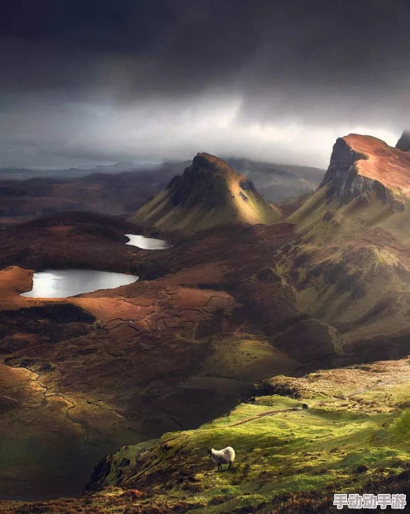 海角乱纶：深入理解这部作品中的情感纠葛与人性探讨