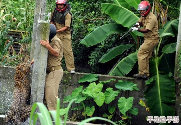 地铁惊现野豹！紧急逃生指南：豹子最常出没的隐秘角落探秘
