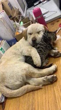 地铁生存挑战：莽权策略与酷二狗技巧，全面对比谁更胜一筹？