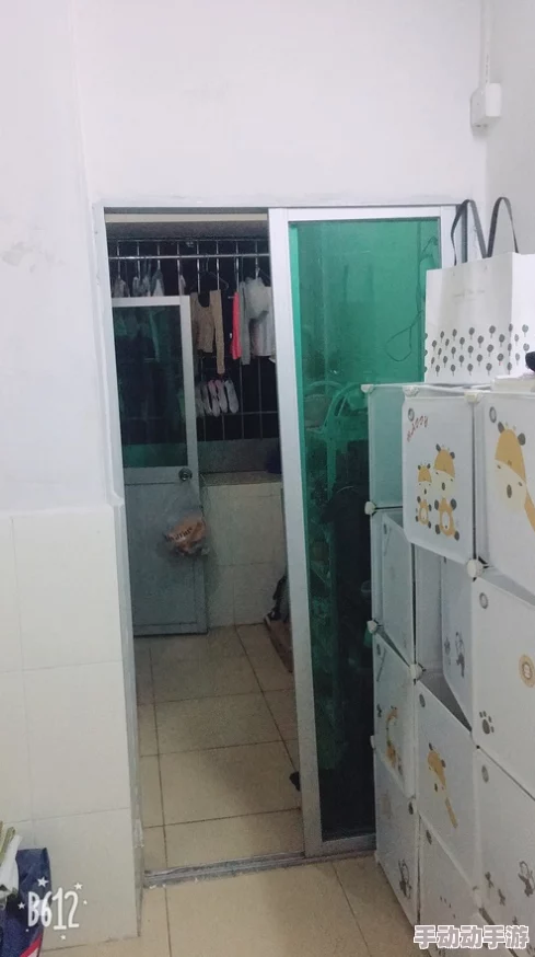 地铁应急逃生:黄门与白门的实用性与安全性全面对比解析 地铁应急逃生:黄门与白门的实用性与安全性全面对比解析