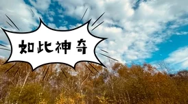 穿越禁忌的界限：没有穿内裤被教练 了一天，如何突破心灵与道德的挑战？