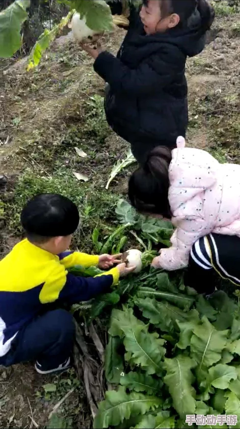 三人世界拔萝卜：谁是最强拔萝卜高手？快来一决高下，欢乐不停歇！