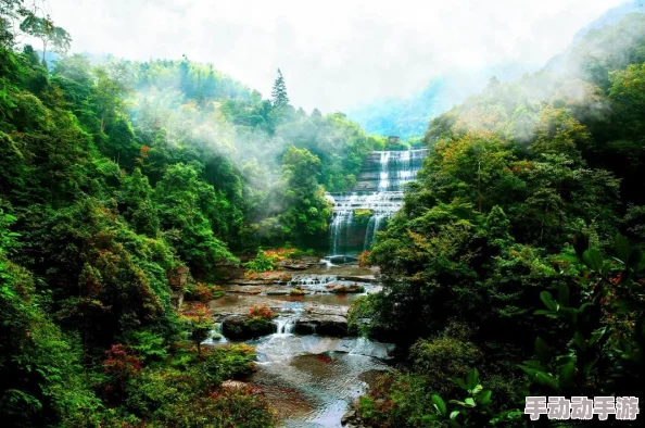 夜晚从父母房间传来的水声是什么？听说可能与家庭秘密和生活习惯有关，真相让人意外！