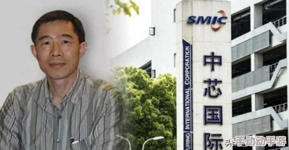 男女拔萝卜:从劳动分工到合作共赢的现代社会思考 男女拔萝卜:从劳动分工到合作共赢的现代社会思考