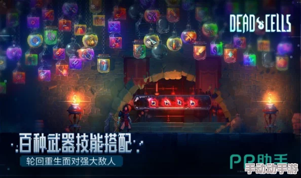 2022年度全面盘点:重生细胞种子精选集,解锁无限探索新纪元 2022年度全面盘点:重生细胞种子精选集,解锁无限探索新纪元