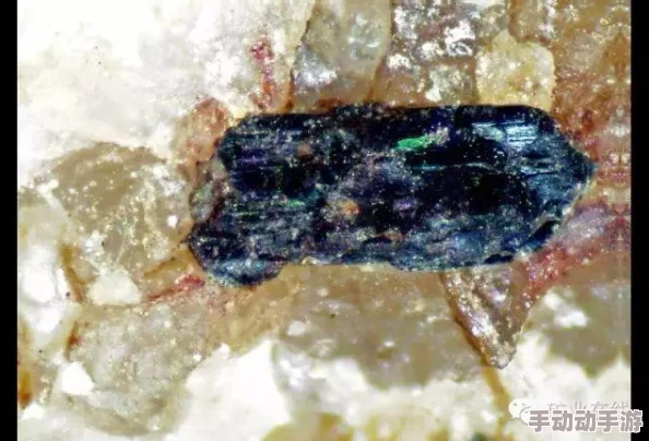 粉色苏州晶体sio91的背后故事与市场热潮分析