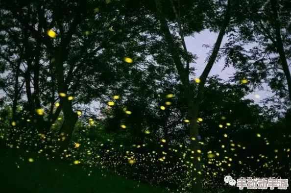流萤自我奖励被发现——深入探讨昆虫行为与生态平衡的关系