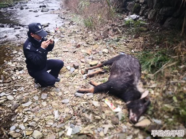Aquatico:深海生存与建造巨作 震撼发布日期揭晓,明春扬帆探险新纪元! Aquatico:深海生存与建造巨作 震撼发布日期揭晓,明春扬帆探险新纪元!