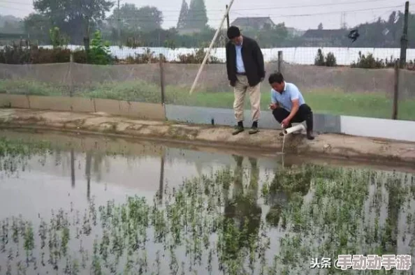 详细分析十大免费行情网站推广策略与技巧 详细分析十大免费行情网站推广策略与技巧