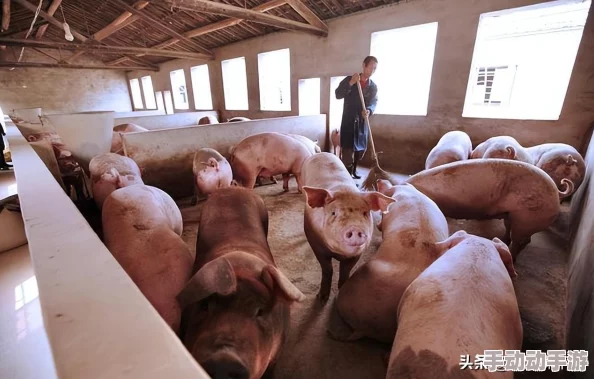 详细分析十大免费行情网站推广策略与技巧 详细分析十大免费行情网站推广策略与技巧