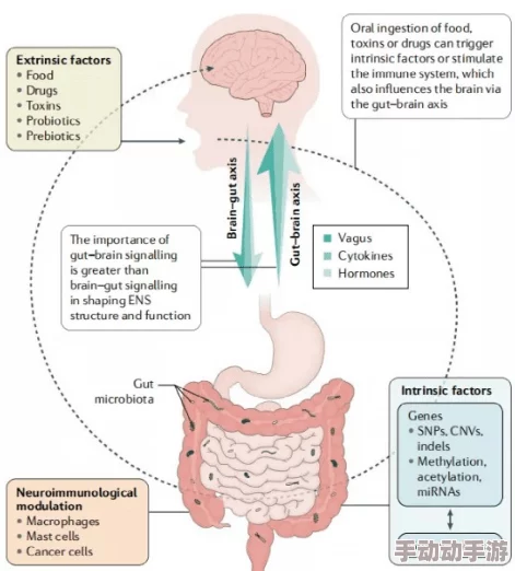 超级胬肉系统第二部叫什么:全面解析与深入解读背后的精彩 超级胬肉系统第二部叫什么:全面解析与深入解读背后的精彩