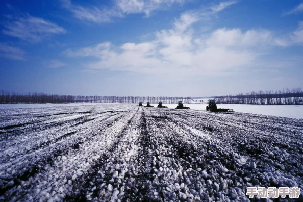 通过黑土本的视角,揭示农业发展的新路径和挑战 通过黑土本的视角,揭示农业发展的新路径和挑战