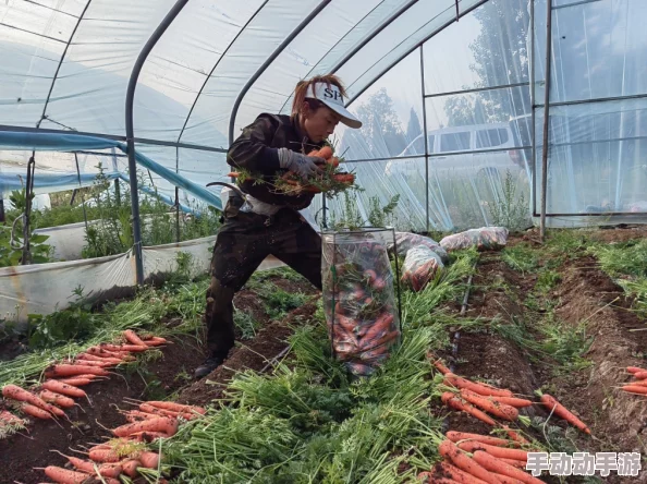 免费拔萝卜直播怎么赚钱的独特秘诀与增收策略解析