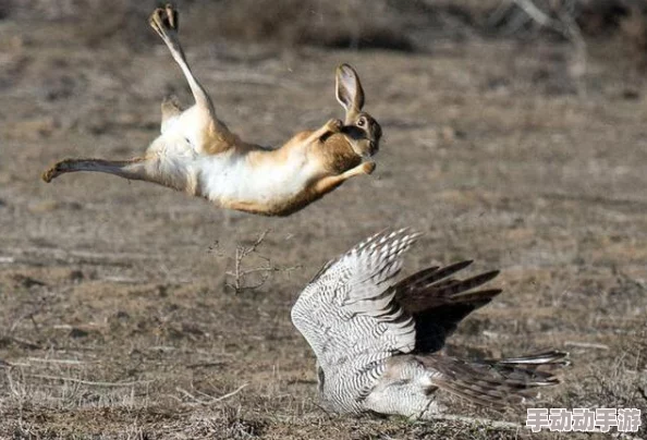 每日大赛在线吃瓜看点:关注赛事动态,分享精彩瞬间,带你领略竞技场上的热血与激情 每日大赛在线吃瓜看点:关注赛事动态,分享精彩瞬间,带你领略竞技场上的热血与激情