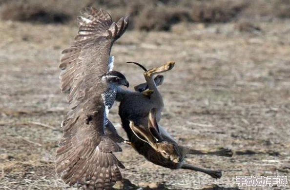 每日大赛在线吃瓜看点:关注赛事动态,分享精彩瞬间,带你领略竞技场上的热血与激情 每日大赛在线吃瓜看点:关注赛事动态,分享精彩瞬间,带你领略竞技场上的热血与激情