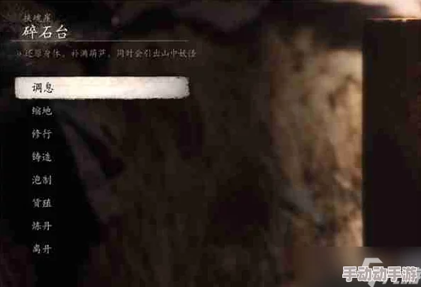 探索《黑神话：悟空》秘境，揭秘碎石台谷壑间隐秘打坐圣地位置指南