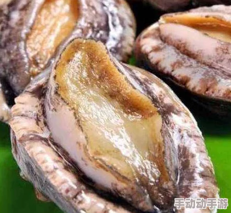 鲍鱼直播:通过实时互动展示美味海鲜的魅力与烹饪技巧,吸引观众共同体验美食文化的乐趣 鲍鱼直播:通过实时互动展示美味海鲜的魅力与烹饪技巧,吸引观众共同体验美食文化的乐趣