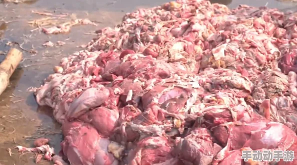 肉大捧一进一出免费6+1,意味着在享受美食的同时,还能体验到额外的惊喜与优惠,让人倍感满足 肉大捧一进一出免费6+1,意味着在享受美食的同时,还能体验到额外的惊喜与优惠,让人倍感满足