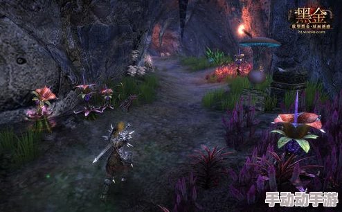 探秘艾尔登法环:揭秘隐藏洞窟中的奇异蜗牛栖息地及其秘密通道 探秘艾尔登法环:揭秘隐藏洞窟中的奇异蜗牛栖息地及其秘密通道