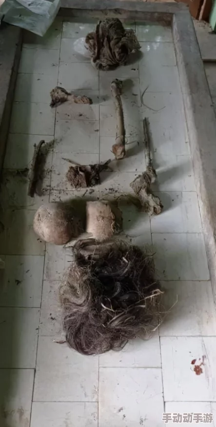 网友评价:com.缅甸北部网站软件的使用体验与功能分析,值得一试! 网友评价:com.缅甸北部网站软件的使用体验与功能分析,值得一试!