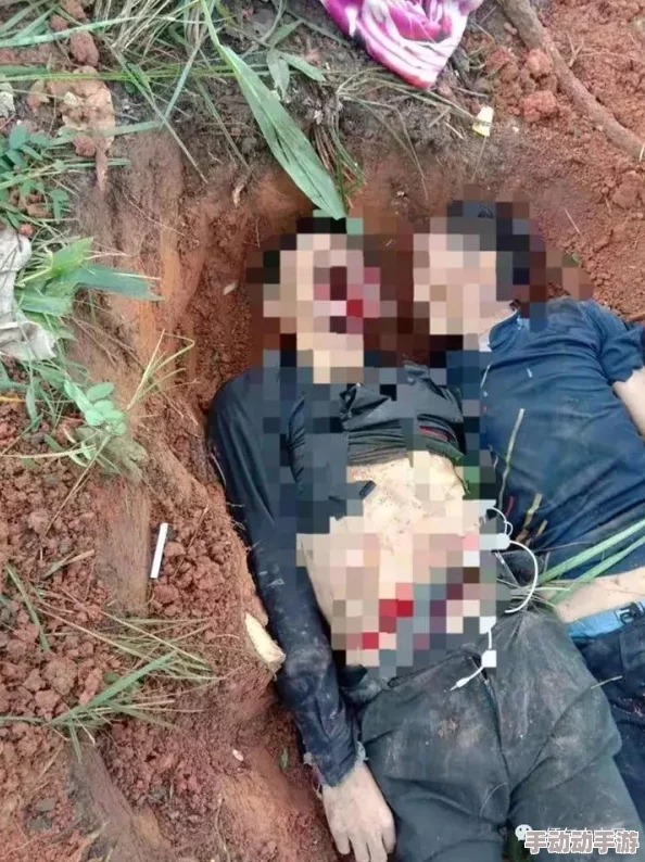 网友评价:com.缅甸北部网站软件的使用体验与功能分析,值得一试! 网友评价:com.缅甸北部网站软件的使用体验与功能分析,值得一试!