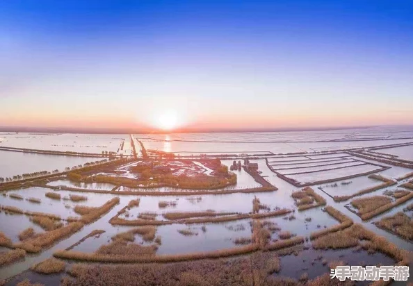 朝阳初升校园1/1h,学生们感叹这里的学习氛围让人倍感振奋与归属感! 朝阳初升校园1/1h,学生们感叹这里的学习氛围让人倍感振奋与归属感!