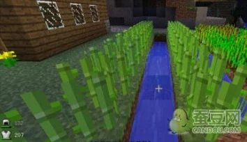 掌握我的世界甘蔗种植秘诀：高效获取与培育甘蔗种子的实用策略指南