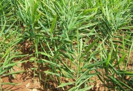 DNF角色装备深度探索:揭秘哪些部位蕴含高额抗性加成策略 DNF角色装备深度探索:揭秘哪些部位蕴含高额抗性加成策略